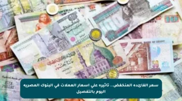 سعر الفائدة المنخفض.. تأثيره على أسعار العملات في البنوك المصرية اليوم بالتفصيل